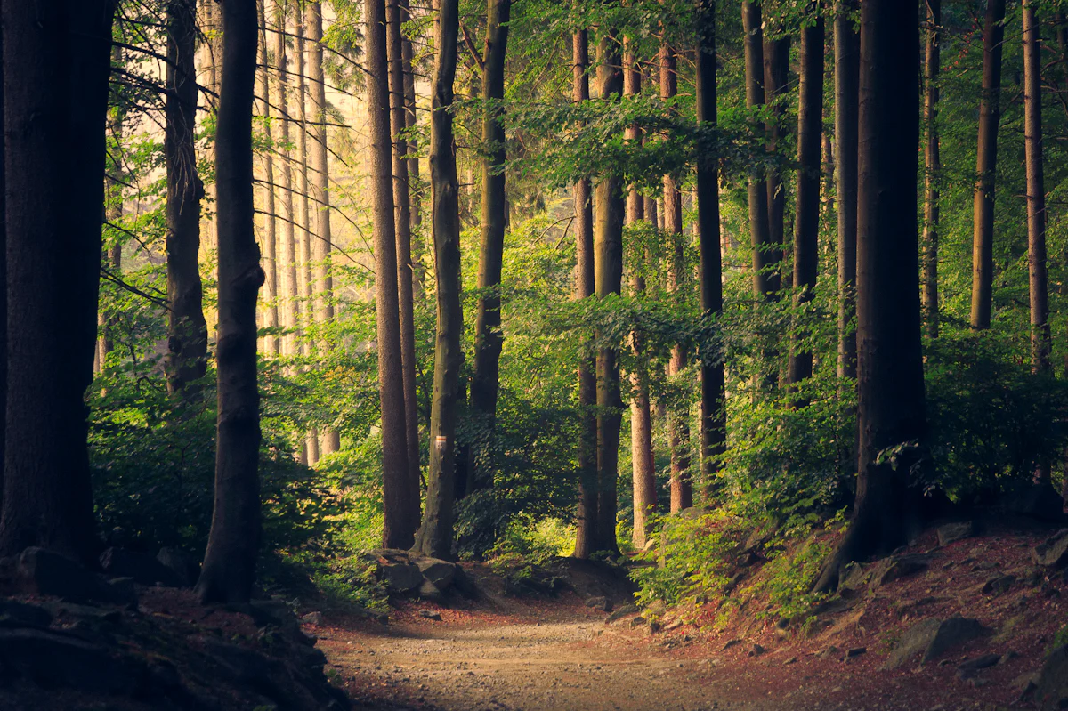 Laudo ambiental, estudo de viabilidade ambiental e hidrologia